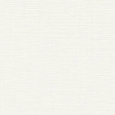 The Basic - White Beige Tone PT.02