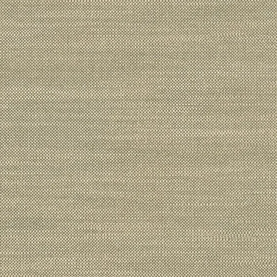 The Basic - Green Tone