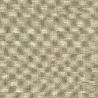 The Basic - Green Tone