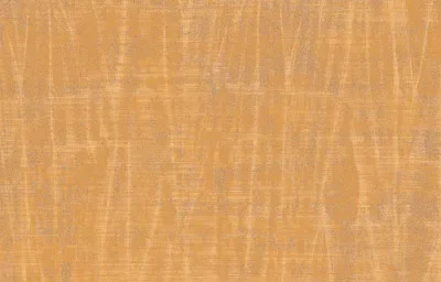 SPIGA — Ảnh 3
