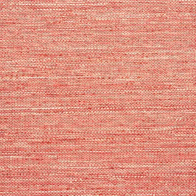 Vinyl Abaca
