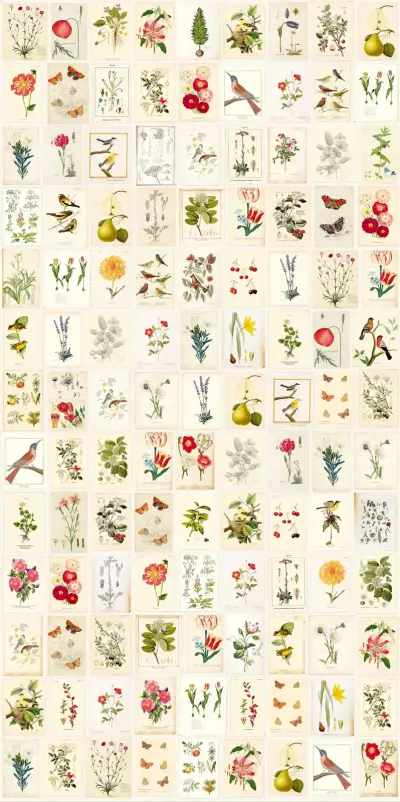 Pip Studio 3 341086