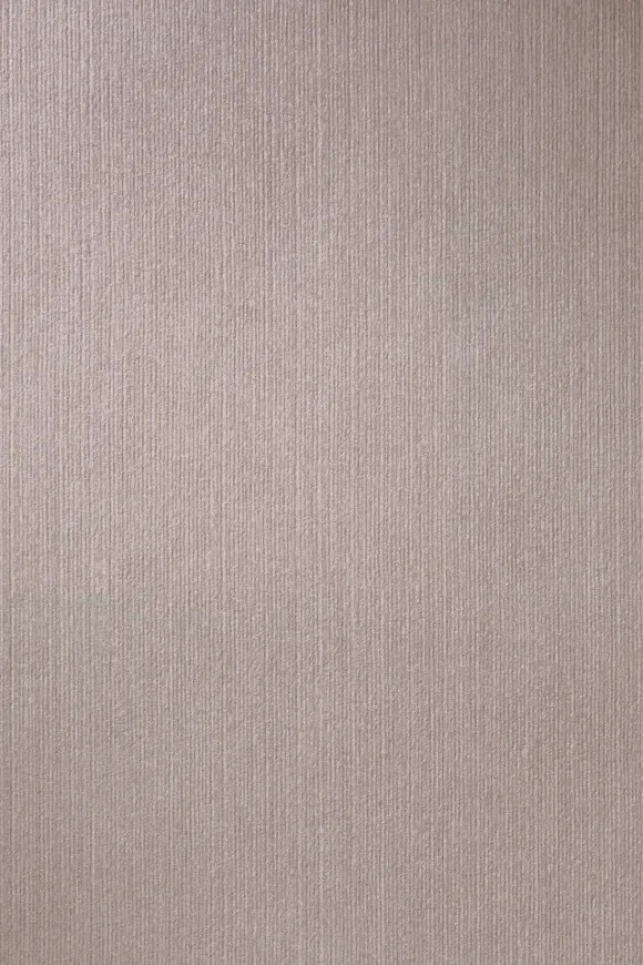 Temper Lavender Grey - 34517C — Ảnh 2