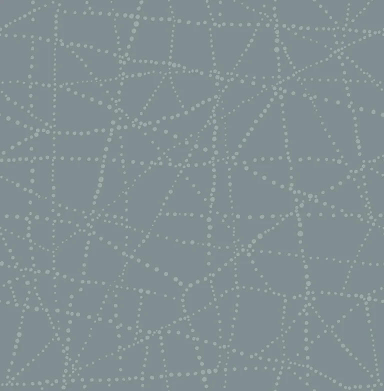 Alcott Dotted Wallpaper - Slate — Ảnh 5