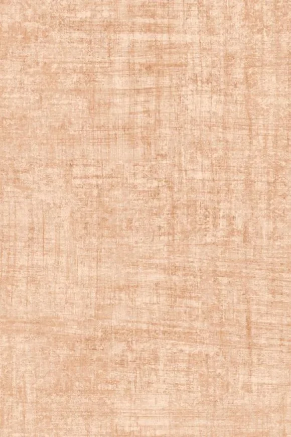 Brushed Suede Pale Coral — Ảnh 2