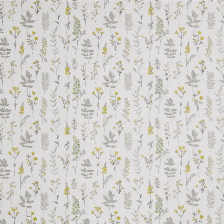 Moda Jade — Ảnh 6