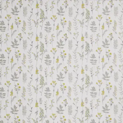 Cottage Garden Cornsilk