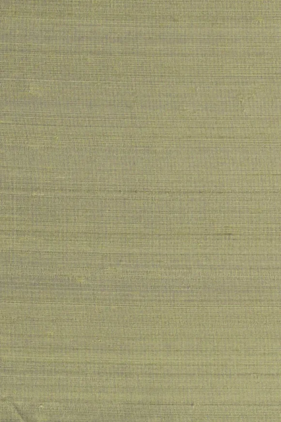 Papillon Olive Green — Ảnh 2