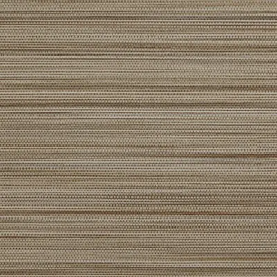 Vinyl Strie