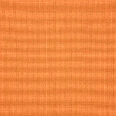 CANVAS TANGELO