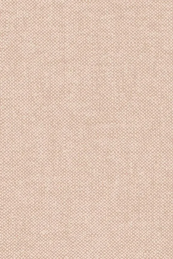 Lin Ballet — Ảnh 2