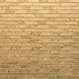 Papyrus Nightfall — Ảnh 4