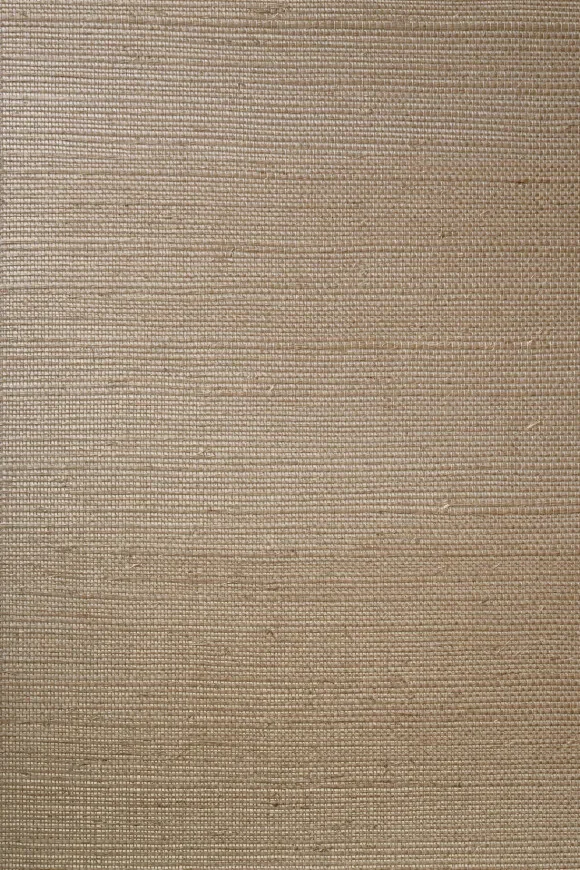 Line Beige - 80700B — Ảnh 2