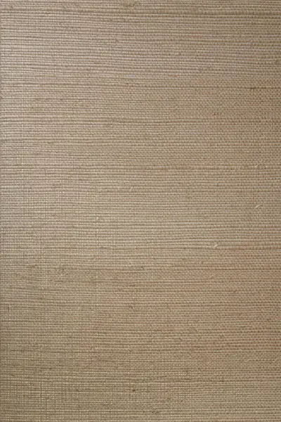 Line — Beige (80700B)
