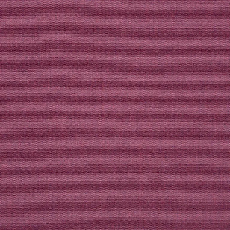 CANVAS IRIS