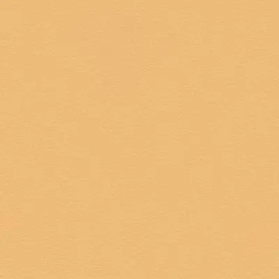 The Basic - Yellow Orange Tone