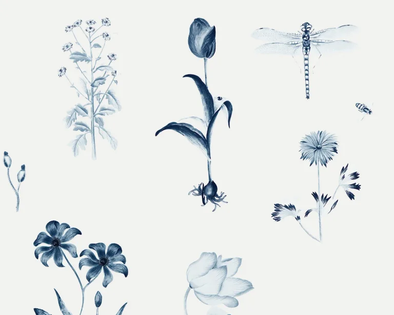 Cyanotype - Spring Fever — Ảnh 2
