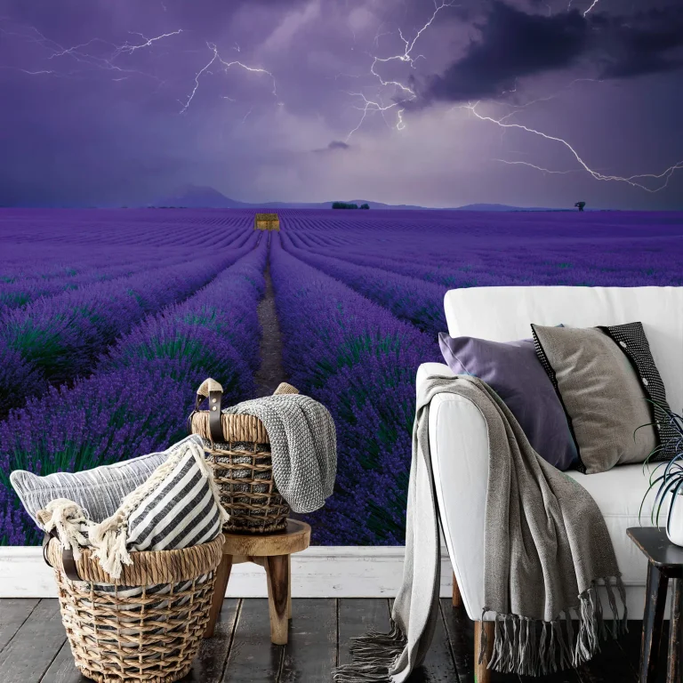 Field of Lavender - Wall Mural 5148 - 8 Panel - 384cm x 260cm — Ảnh 2