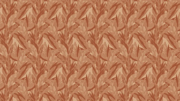 Tropicalia 29530 — Ảnh 5