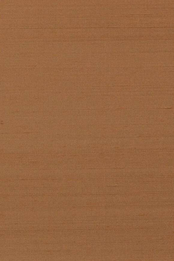 Papillon Hazel — Ảnh 3