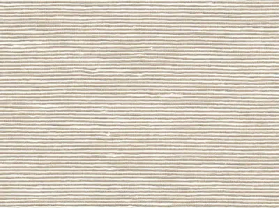 Stripe Sequin Weaving 20020712