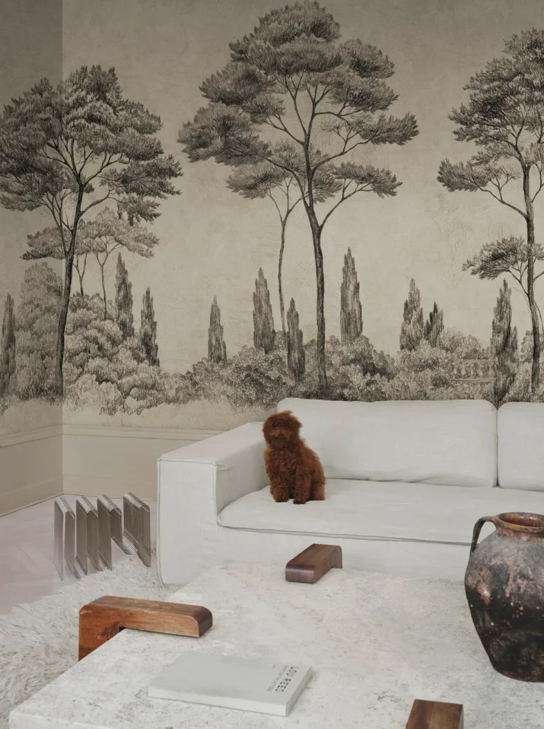 Andrea Graphite — Ảnh 2