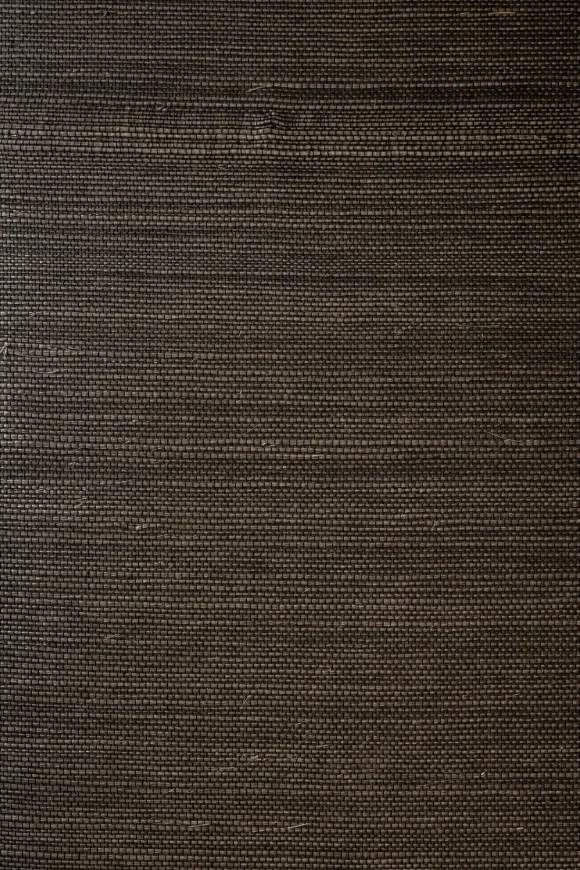 Line Grey Forest - 72744 — Ảnh 2