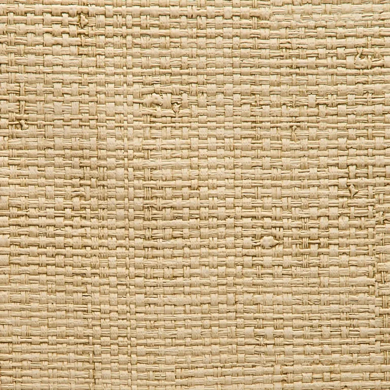 Vinyl Island Raffia