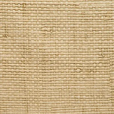 Vinyl Island Raffia