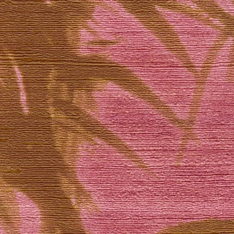 Terra Promessa VP 85 — Image 4