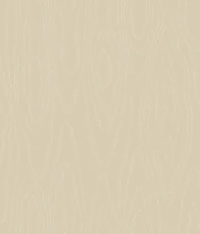 Watered Silk S106 1008 — Ảnh 2