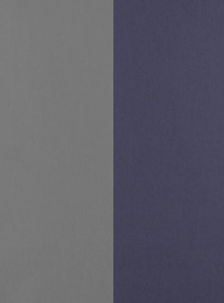 Grande Stripe Dauphin et Nocturne — Ảnh 2