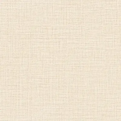 The Basic - White Beige Tone PT.02