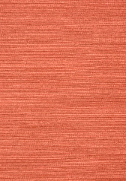 Taluk Sisal Wallpaper T289 — Image 2