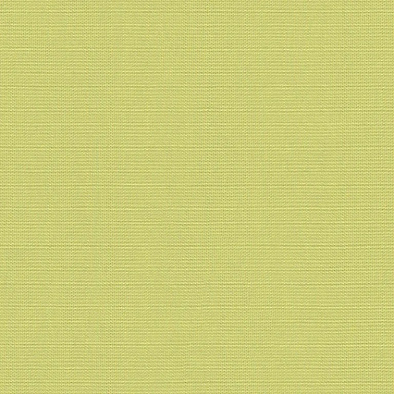 CANVAS LIME