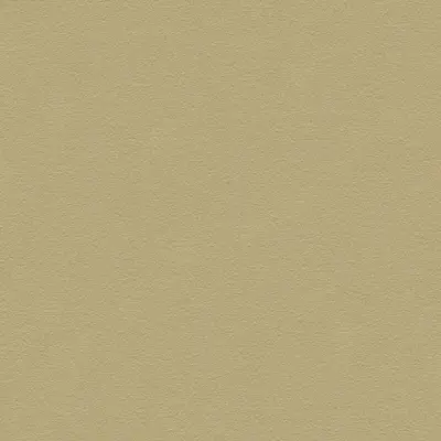 The Basic - Green Tone