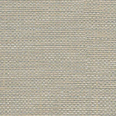 Vinyl Max's Metallic Raffia