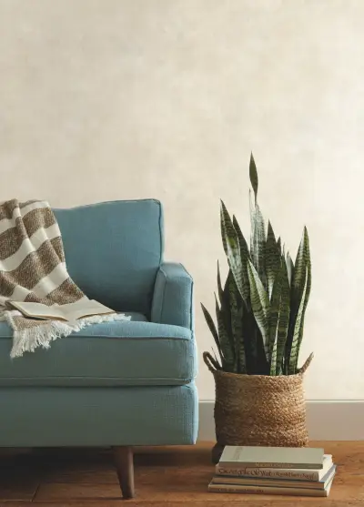 Magnolia Home Plaster Finish Wallpaper - Cloud Cream