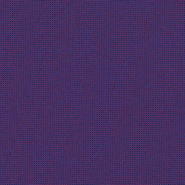 BENGALI PURPLE