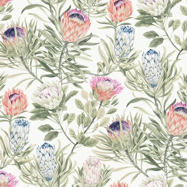 Protea Wallpaper - White/Fuchsia — Ảnh 5