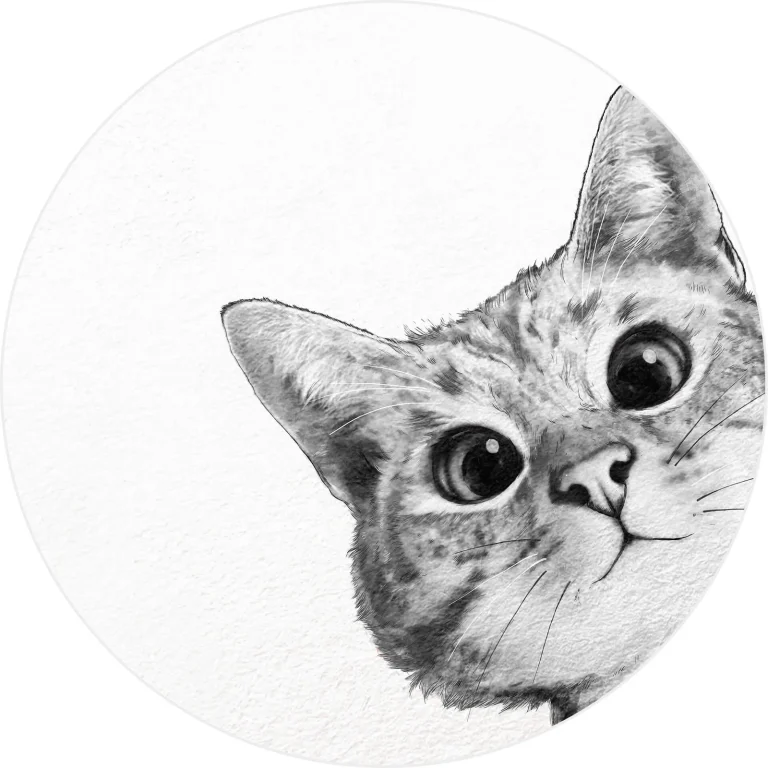 Sneaky Cat - Wall Mural 5508 - 4 Panel - 192cm x 260cm — Ảnh 4