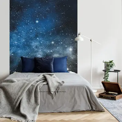 Calm Cosmos - Wall Mural 5546 - 4 Panel - 192cm x 260cm