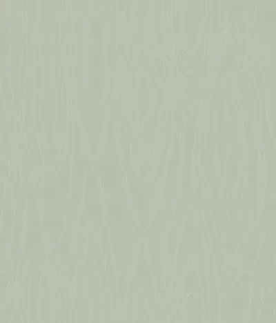 Watered Silk - S106/1014 — Image 2