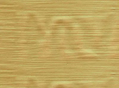 Silk 210501-17