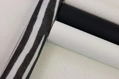 Watch Out for the Zebra Stripes! 751727