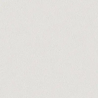 The Basic - White Beige Tone PT.01