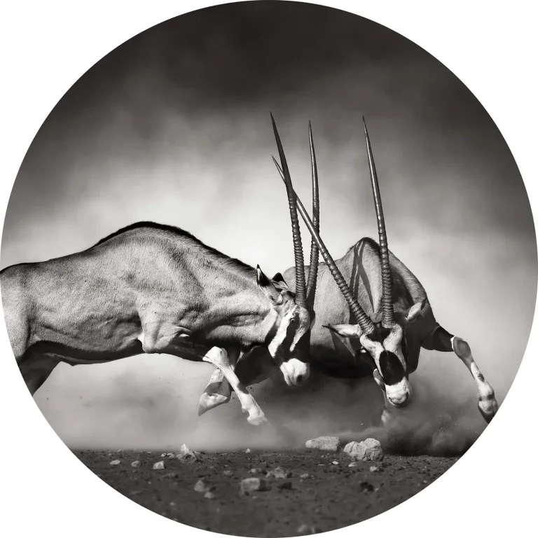 The Duel - Wall Mural 5493 - 8 Panel - 384cm x 260cm — Image 4