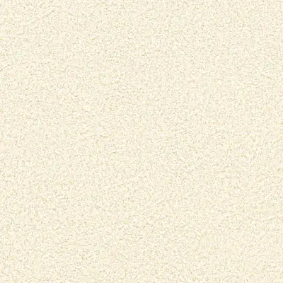 The Basic - White Beige Tone PT.02