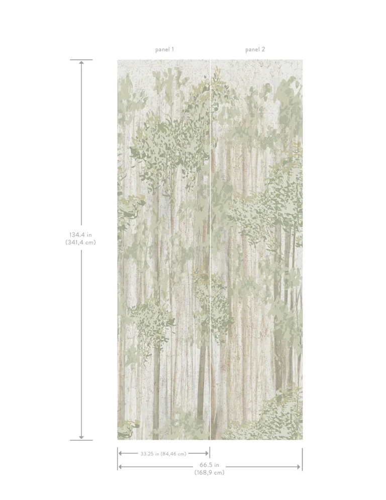 Aspen Grove Wallpaper - Forest — Ảnh 2
