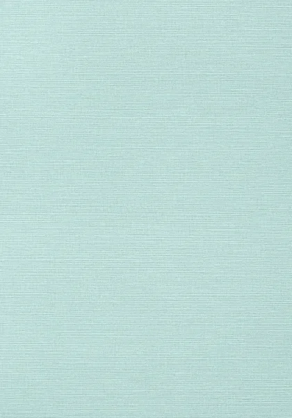 Taluk Sisal Wallpaper T285 — Image 2